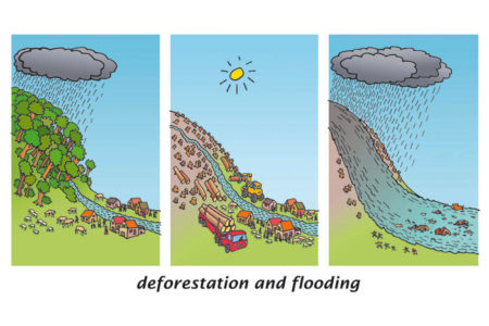 La déforestation décuplerait les risques d’inondations mais pas que …