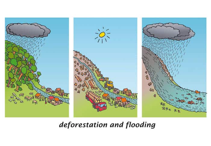 You are currently viewing La déforestation décuplerait les risques d’inondations mais pas que …