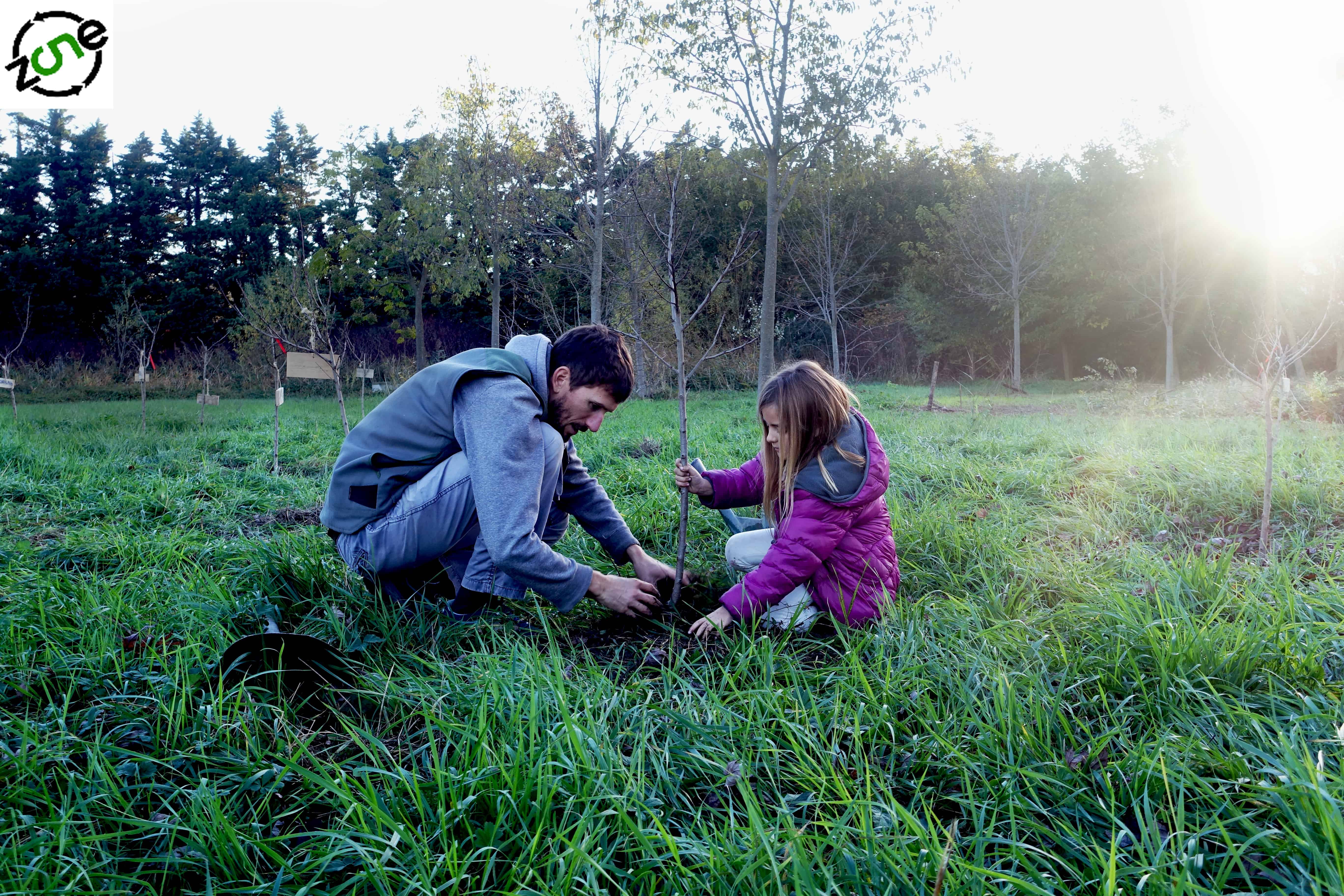 You are currently viewing Parrainage d’arbres fruitiers sur Le TEIL