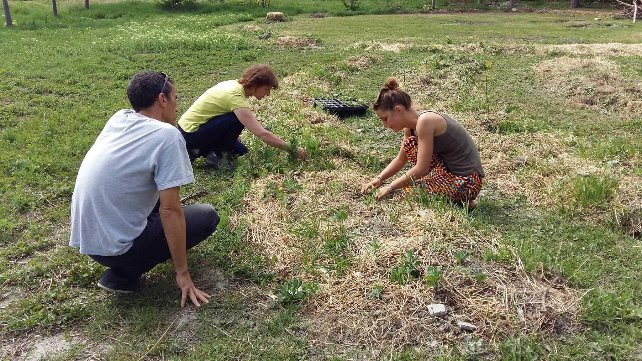 You are currently viewing A quand la prochaine journée Chantier Participatif?