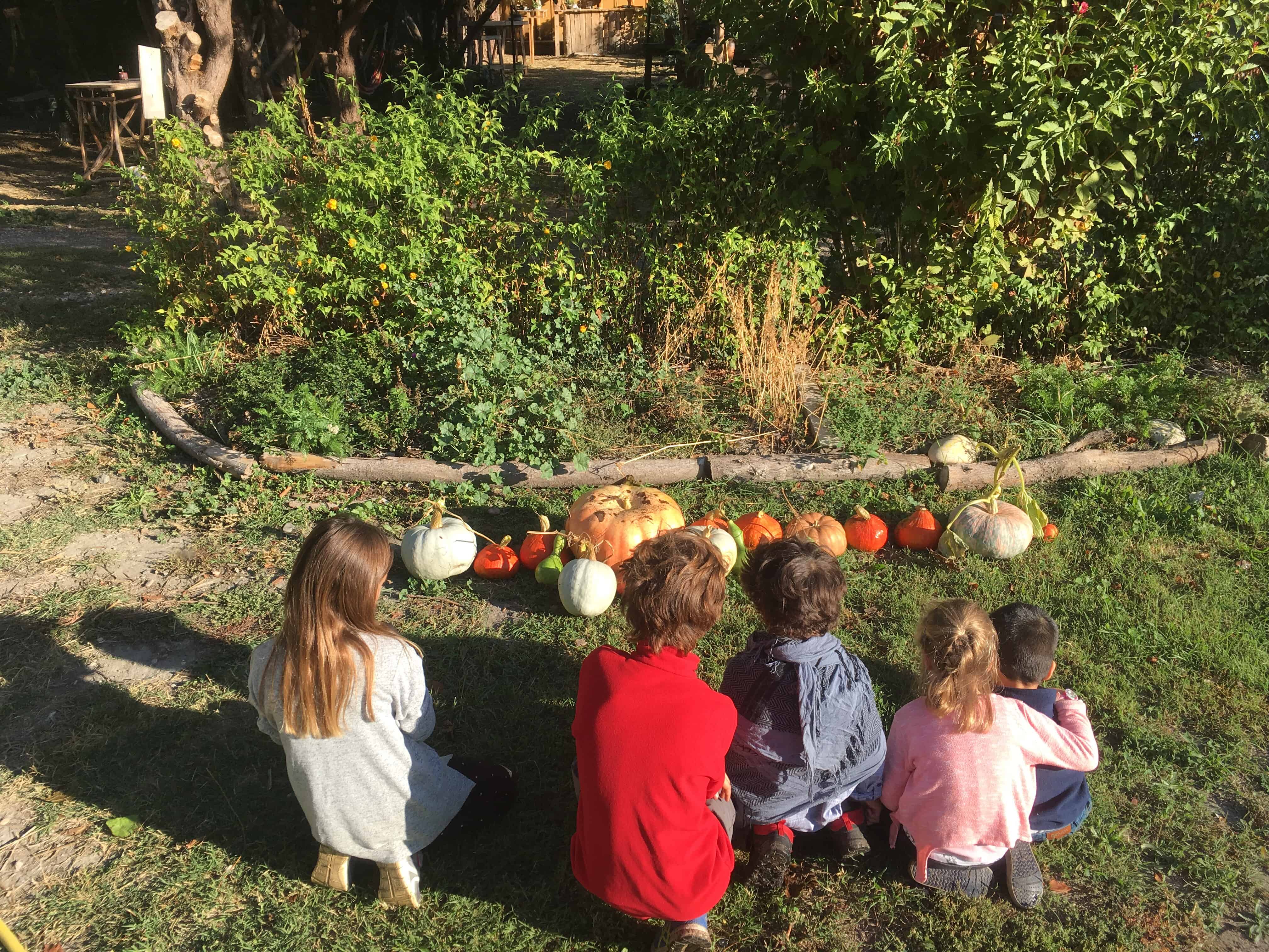 enfants serre zone5 permaculture association