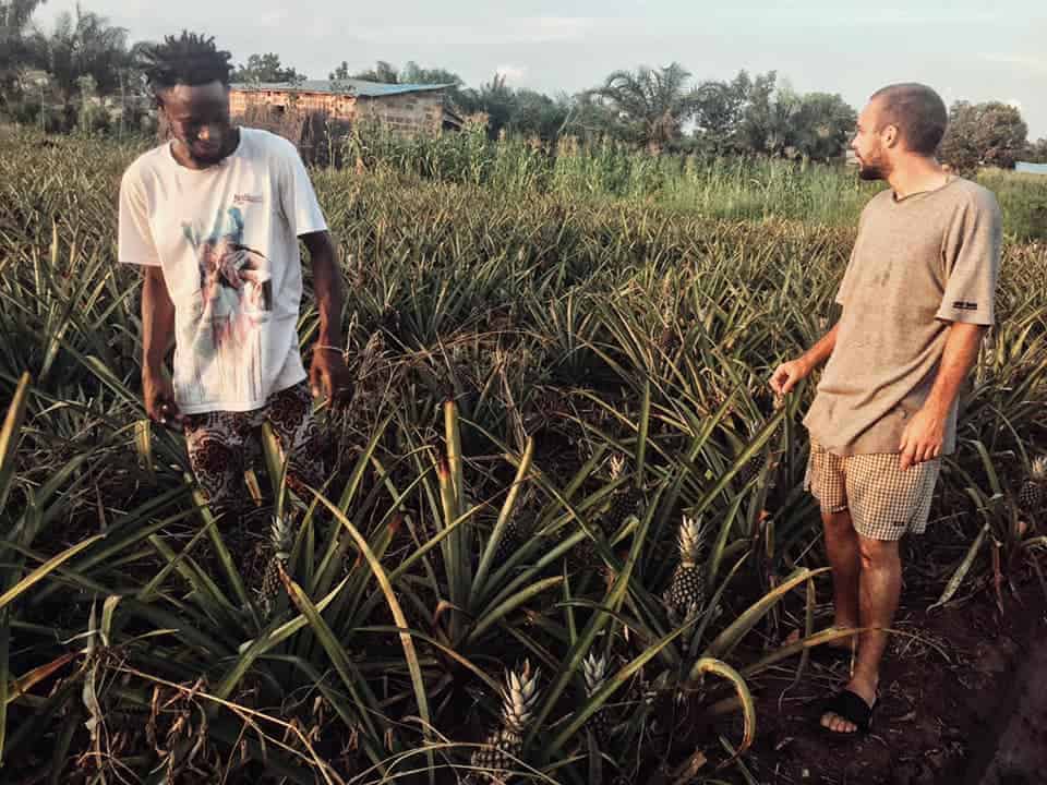 photo association zone 5 au bénin, champs d'ananas avec Matéo et Simon, permaculture