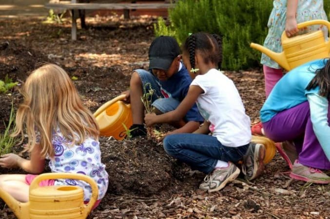 enfant, jardinage, atelier, permaculture, transmission, zone 5, Le Teil, Ardèche