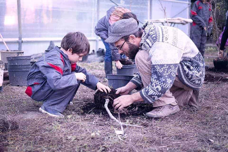 transmission permaculture journées participatives, chantier, bénévolat