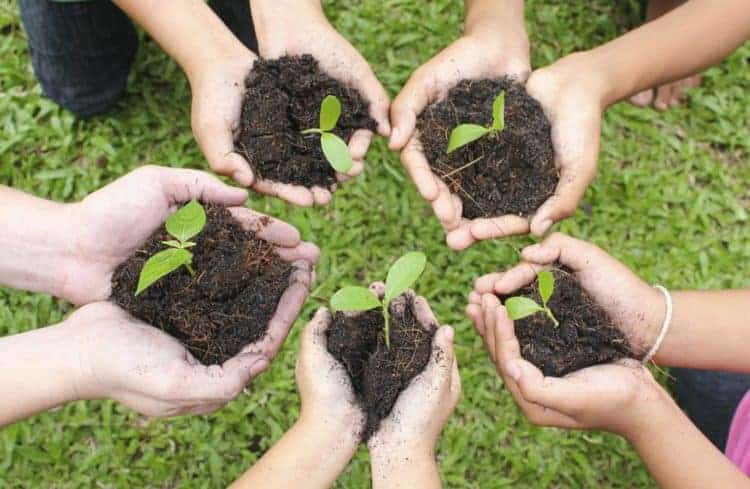 mains d'enfants avec de la terre et une petite plante, atelier pédagogique organisé par l'association zone 5 le teil en ardèche