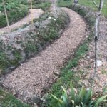 Buttes en permaculture jardin mandala