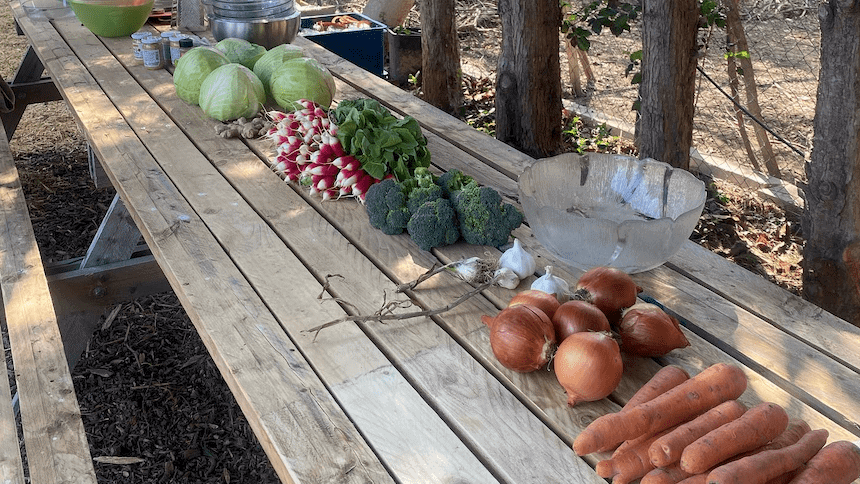 Légumes pour faire du Kimchi, une méthode de conservation coréenne.