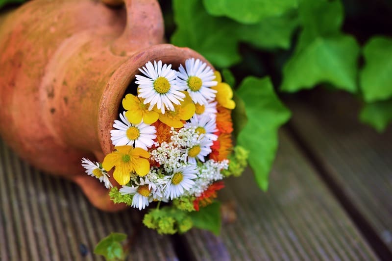 Pot recycle pour planter sur un balcon