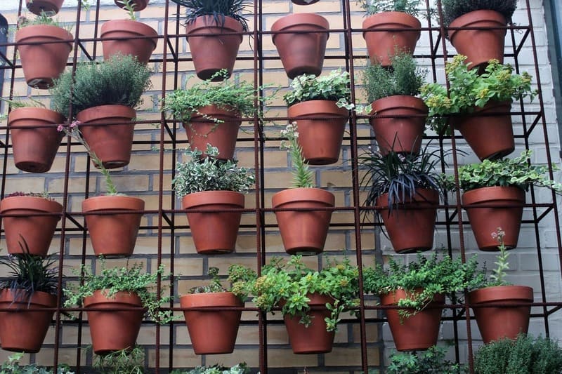 planter à la verticlale pour optimiser les cultures sur un balcon