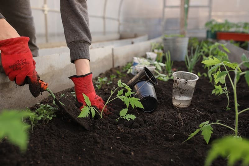 Serre de jardin autonome - Ulule