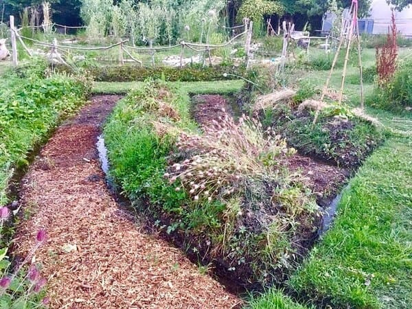 culture en butte dans un jardin mandala