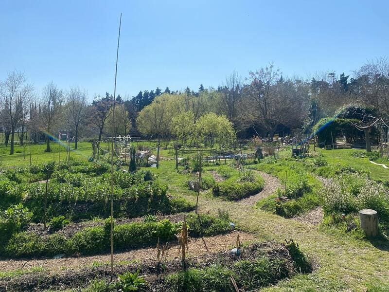 jardin mandala en permaculture