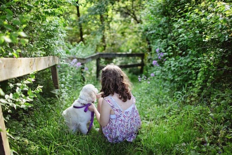 une fillette et un chien de dos dans un jardin