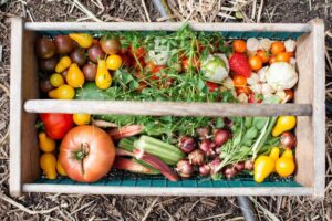 Caisse de légumes comprenant la récolte du jour : tomates, herbes, courgette, poivron