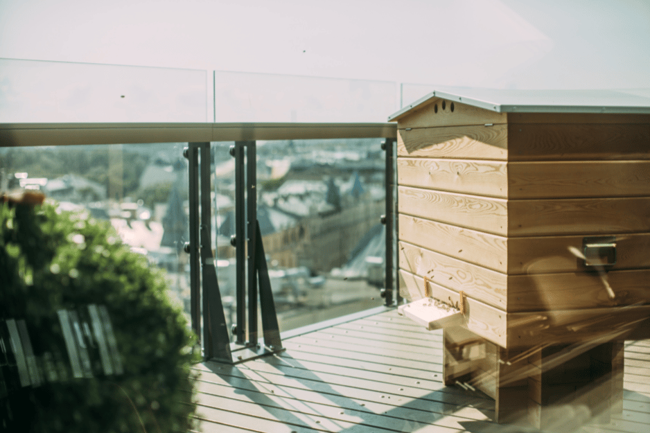 une ruche sur un le toit d'un immeuble en pleine zone urbaine