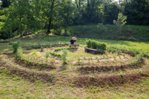 un potager permacole en forme de mandala spirale