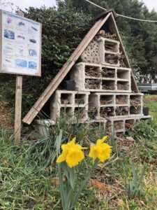 maison à insecte