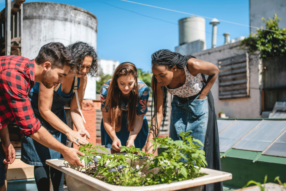 un groupe de citadin sur le toit d'un immeuble en train de planter des légumes