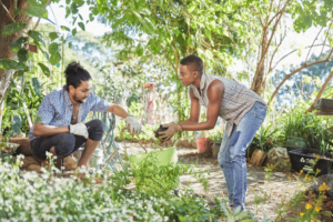 deux personnes en train de planter des légumes dans un jardin communautaire