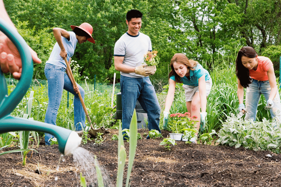 trois personne sont en train de planter des fruits et des légumes dans un jardin communautaire