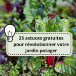 25 astuces gratuites pour révolutionner votre jardin potager