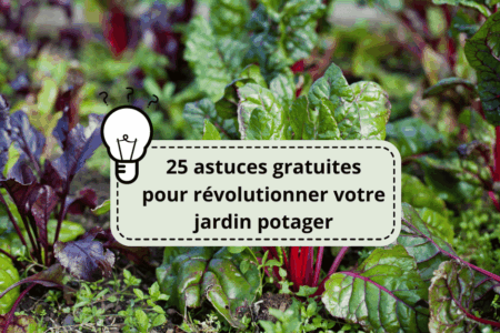 25 astuces gratuites pour révolutionner votre jardin potager