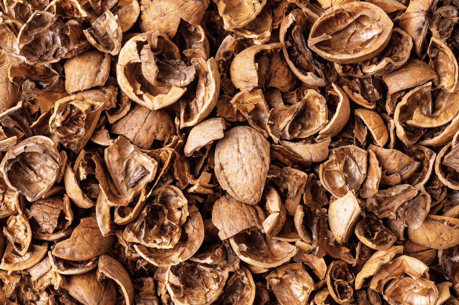 Tas de coquilles de noix