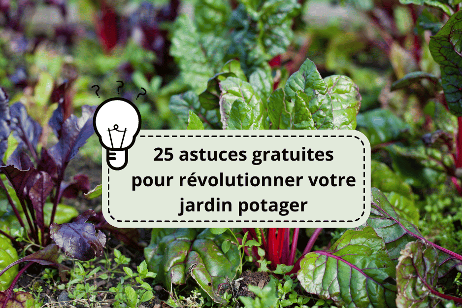 You are currently viewing 25 astuces gratuites pour révolutionner votre jardin potager