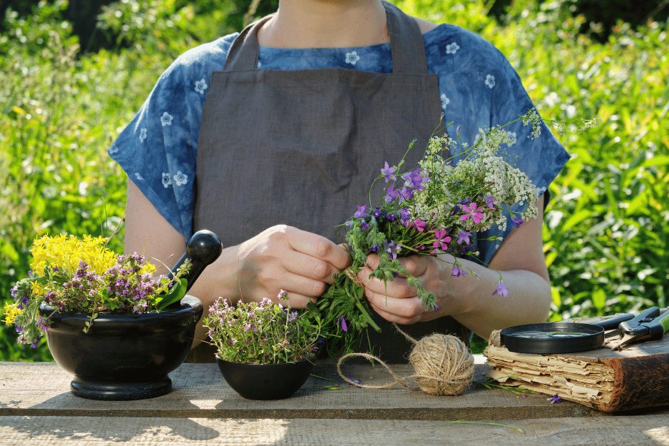 une femme en train de cueillir et de trier des plantes médicinales