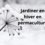 Préparez votre jardin d’hiver en permaculture : conseils malins pour un potager résistant au froid !