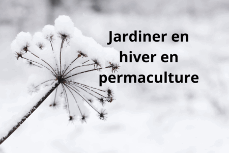 Préparez votre jardin d’hiver en permaculture : conseils malins pour un potager résistant au froid !