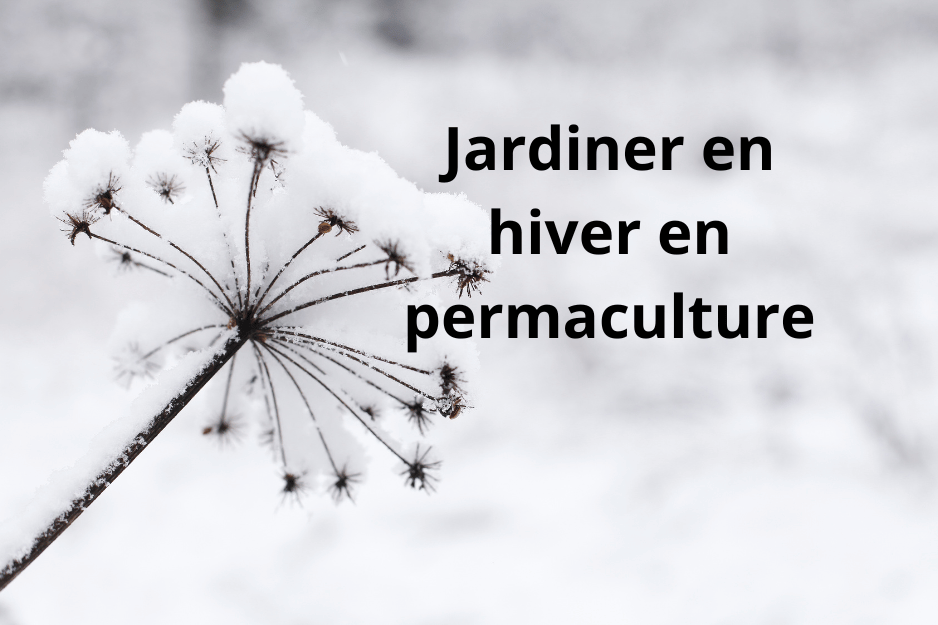 You are currently viewing Préparez votre jardin d’hiver en permaculture : conseils malins pour un potager résistant au froid !